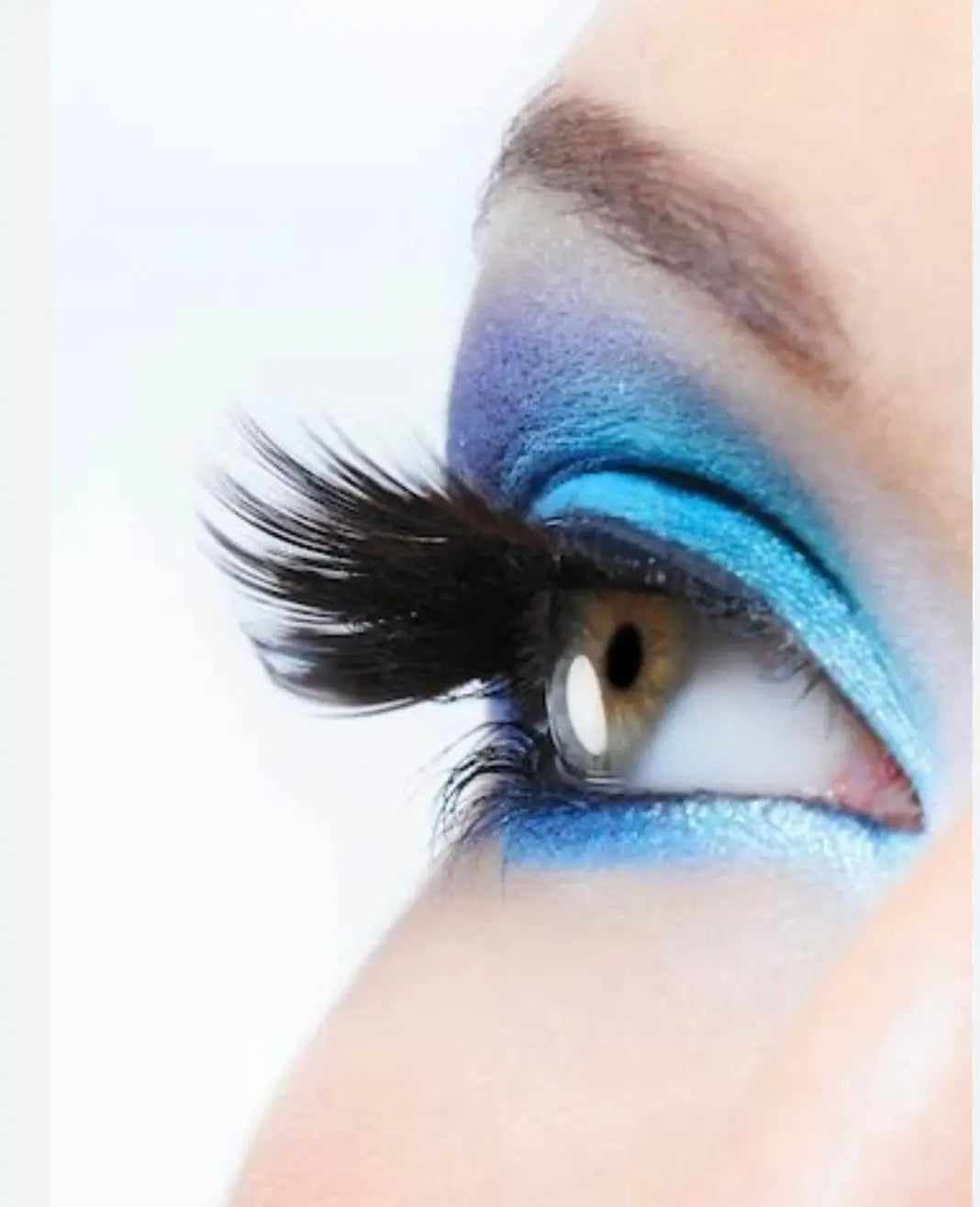 Eye-Lashes Sluxe Global