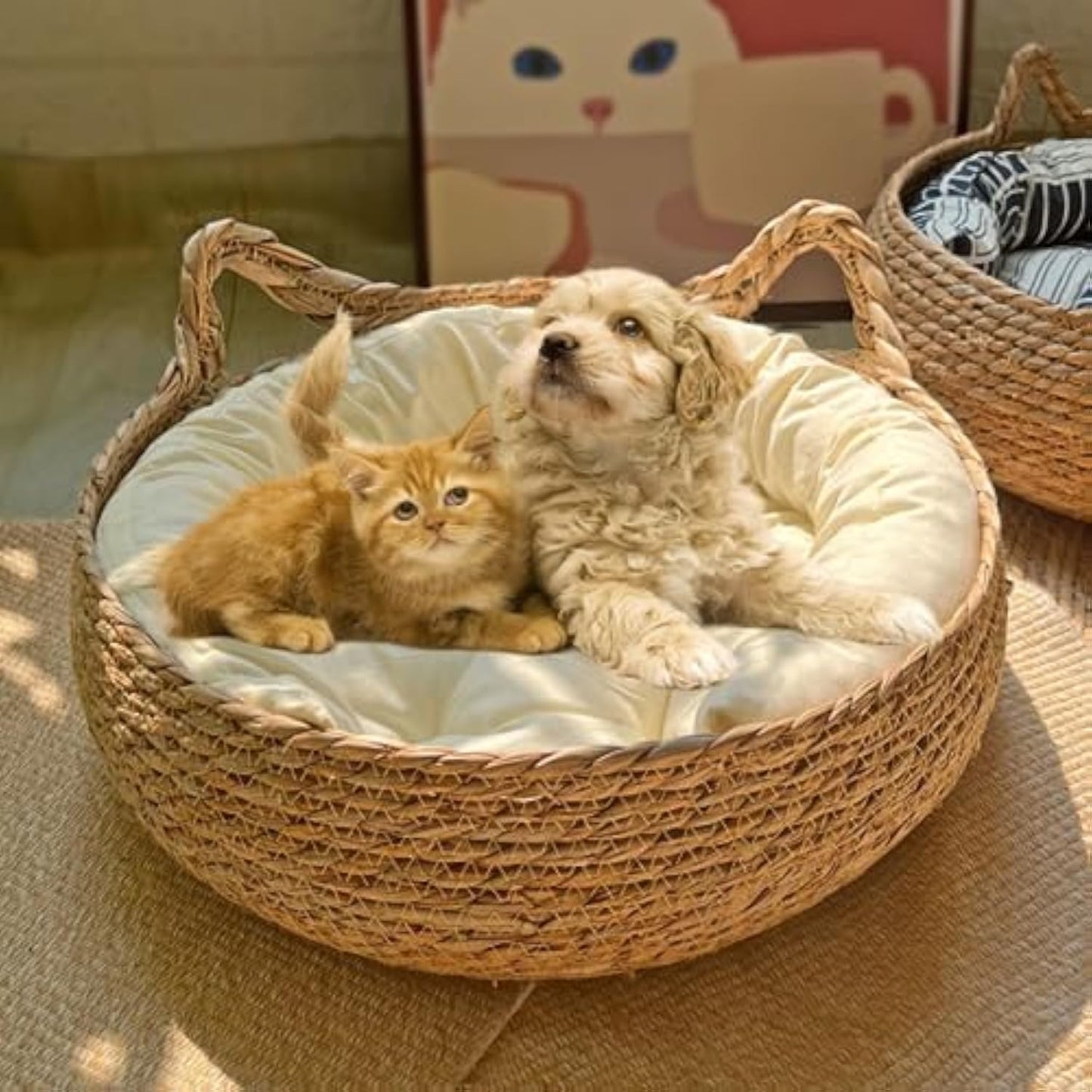 Natural Woven Cat Bed With Soft Cushion, Handmade Braided Cattail Leaf Pet House, Eco-Friendly Straw Nest Sluxe Global
