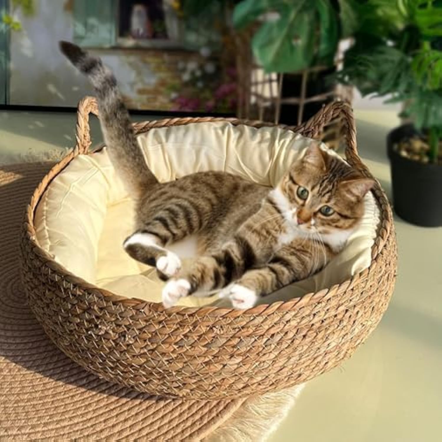 Natural Woven Cat Bed With Soft Cushion, Handmade Braided Cattail Leaf Pet House, Eco-Friendly Straw Nest Sluxe Global